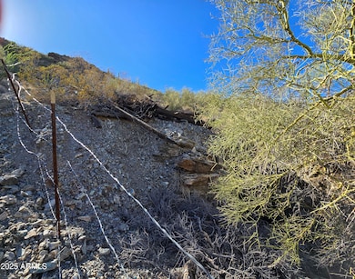 0 Critic Mine -- unit 6925996, Wenden, AZ 85357 - photo 6