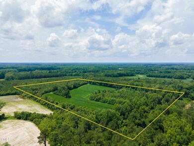MODIFIED-2025-06-18-DJI_0197
