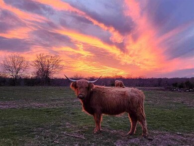 4081 Fm 2736 unit c, Campbell, TX 75422 - photo 6