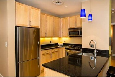 Lincoln Plaza II unit L419, Boston, MA 02111 - photo 2