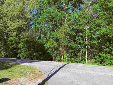 0001 Willingham Hill Rd, Tuscumbia, AL 35674 - photo 5