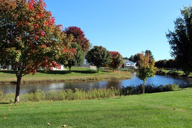 Backyard View