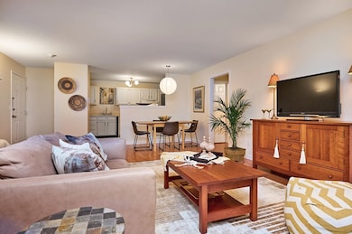 44 Evergreen Rd unit 302, Leeds, MA 01053 - photo 4