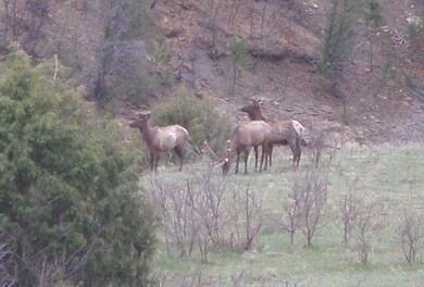 33817 Turkey Creek Ln unit B 67, Trinidad, CO 81082 - photo 7