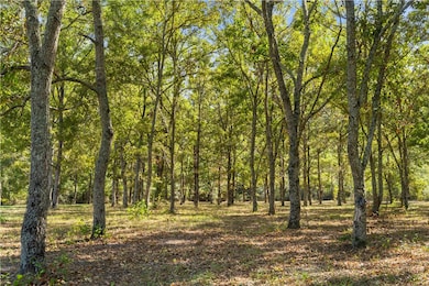 1163 Highway 165, Fort Mitchell, AL 36856 - photo 3