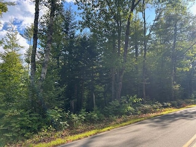 8 Glover Farm Rd, Bowerbank, ME 04426 - photo 3