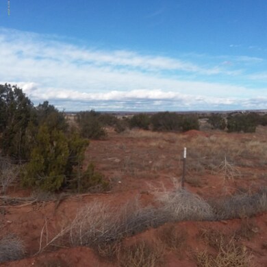 Lot 23.mtview