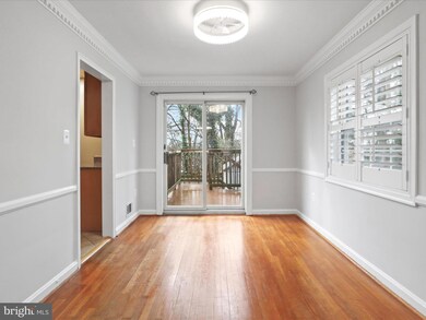 138 Cambridge Rd unit A, Alexandria, VA 22314 - photo 7