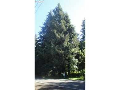 0 Miami Foley Rd unit 16504420, Nehalem, OR 97131 - photo 3