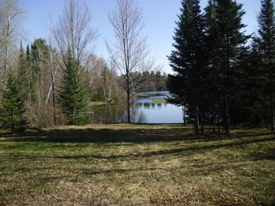 W9080 Blackhawk Rd, Tomahawk, WI 54487 - photo 3