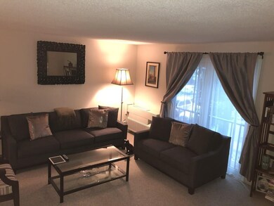 29 Village Rock Ln unit 7, Natick, MA 01760 - photo 4
