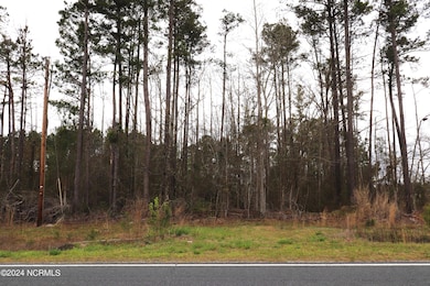 0 Cromartie Rd, Elizabethtown, NC 28337 - photo 4