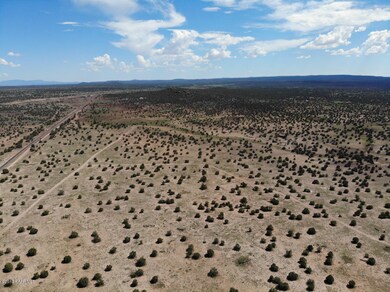 0 30207279d unit 1023068, Ash Fork, AZ 86320 - photo 4