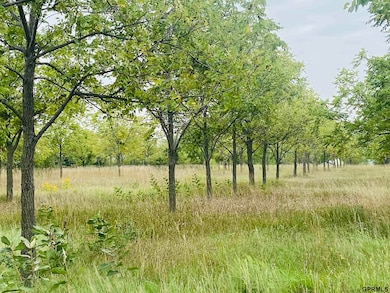 11905 W O St, Lincoln, NE 68528 - photo 4