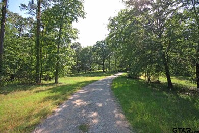 14450 Big Oak Bay Rd, Tyler, TX 75707 - photo 5