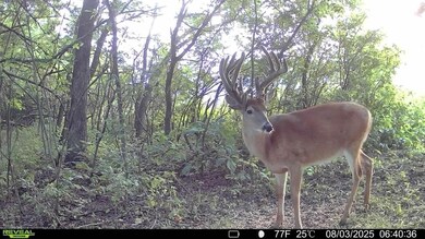 00000 1350 Rd, Coyville, KS 66736 - photo 7