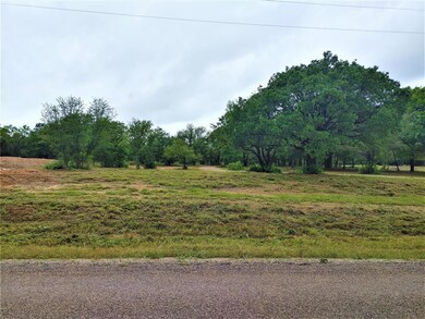 8675 Hutcheson Hill Rd, Springtown, TX 76082 - photo 2