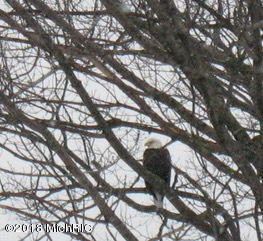 IMG_5263
