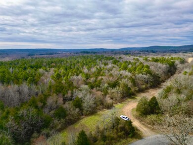 000 S Shelton Rd, Bee Branch, AR 72013 - photo 2