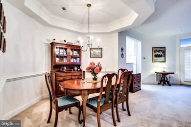 2115 Ganton Green unit 110, Woodstock, MD 21163 - photo 6