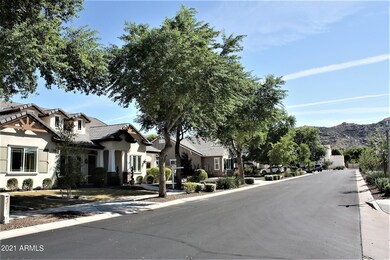 Tree lined street Mtn Views