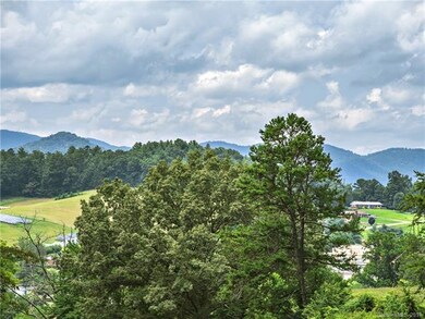 0000 Jones Rd, Leicester, NC 28748 - photo 5