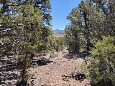 3406 S Comstock Rd unit PARCEL 3, LOT 12, BL, Cedar City, UT 84720 - photo 4