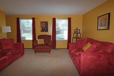 IMG_3523_edited-1