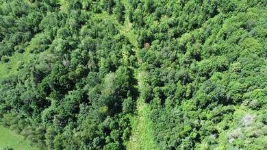 1694 U S Route 1, Orient, ME 04471 - photo 6