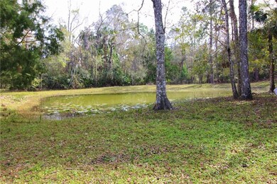 12 ft deep pond