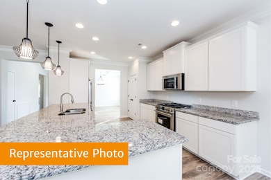 12155 Muscadine Ct, Midland, NC 28107 - photo 5