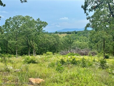 0000 Roberts Ln, Huntington, AR 72940 - photo 4