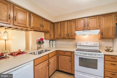 5994 Rowanberry Dr, Elkridge, MD 21075 - photo 5