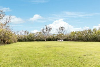 234 E Burnett St, Brazoria, TX 77422 - photo 6