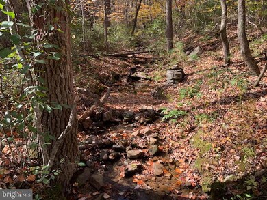 0 Barb unit VASH120806, Basye, VA 22844 - photo 3