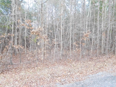 TBD Tanners Rd, Smyrna, SC 29743 - photo 2