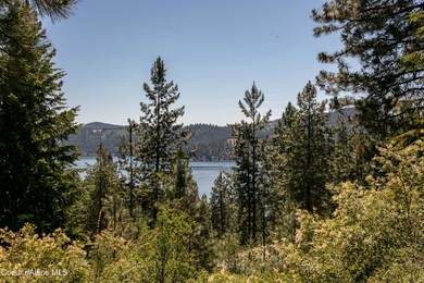 545 Sunset Terrace, Harrison, ID 83833 - photo 4