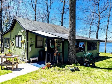 N993 McGill Point Rd, Weyerhaeuser, WI 54895 - photo 3