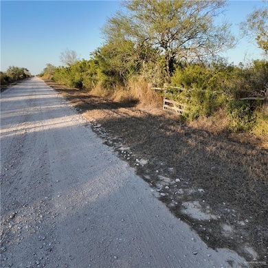 00 Cr 313, Encino, TX 78353 - photo 2