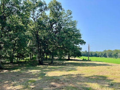 000 Childs Rd, Troy, AL 36081 - photo 2