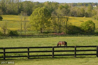 20560 Furr Rd, Round Hill, VA 20141 - photo 3