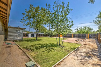 Huge back yard