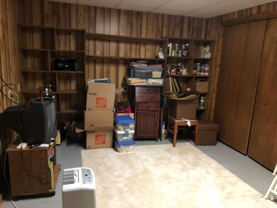 Basement Alta View