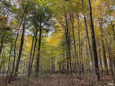 TBD Dupont Rd, Fort Wayne, IN 46818 - photo 2