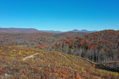 134 Ac. - S Buffalo Rd, Lexington, VA 24450 - photo 4