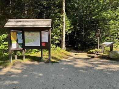 22 von Hippel Ln, Albany, NH 03818 - photo 5