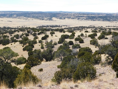 274 Deer Cir, Quemado, NM 87829 - photo 2