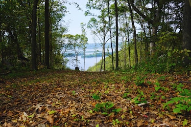deer island river view 3
