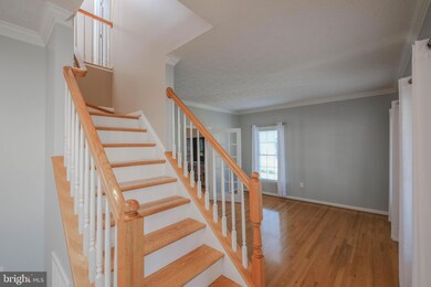 317 Clydesdale Dr, Stephens City, VA 22655 - photo 7