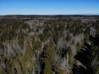 DJI_0571